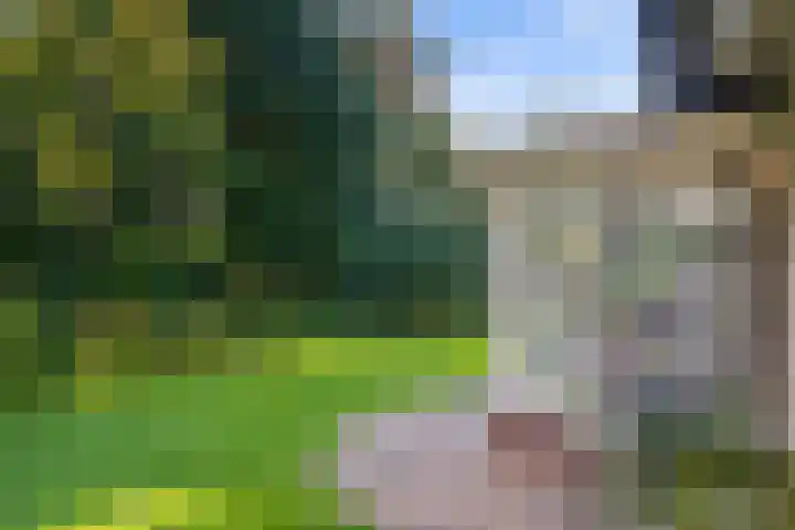 Sonnevancklaan 13 Harderwijk thumbnail 43