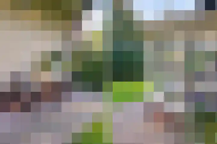 Sonnevancklaan 13 Harderwijk thumbnail 44