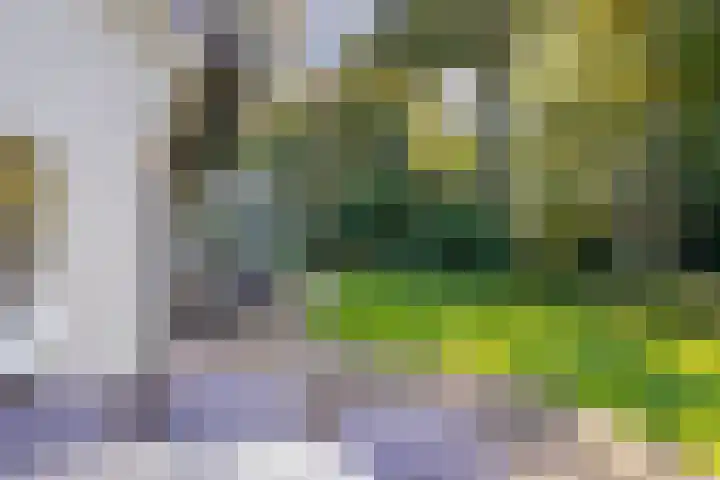 Sonnevancklaan 13 Harderwijk thumbnail 45