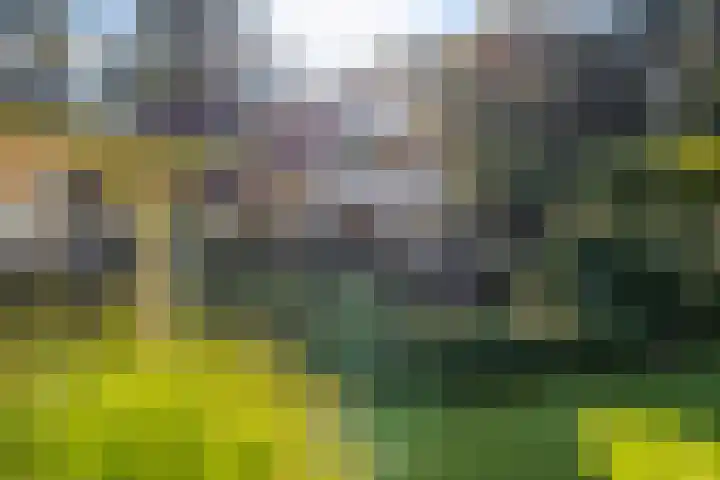 Sonnevancklaan 13 Harderwijk thumbnail 48