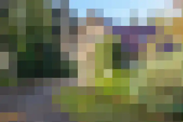 Sonnevancklaan 13 Harderwijk thumbnail 50