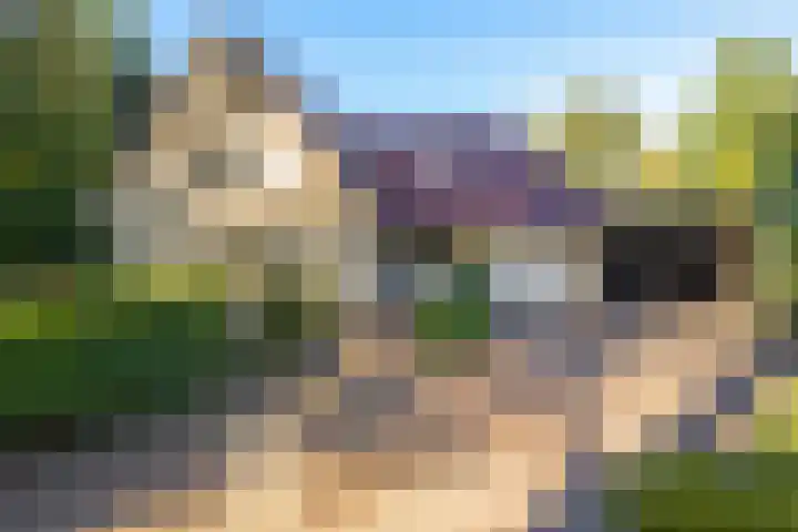 Sonnevancklaan 13 Harderwijk thumbnail 51