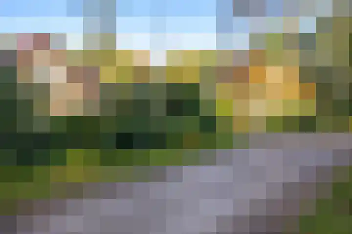 Sonnevancklaan 13 Harderwijk thumbnail 53