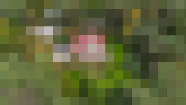 Sonnevancklaan 13 Harderwijk thumbnail 54