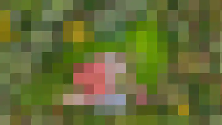 Sonnevancklaan 13 Harderwijk thumbnail 55