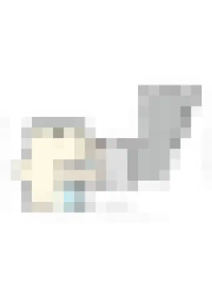 Sonnevancklaan 13 Harderwijk thumbnail 57