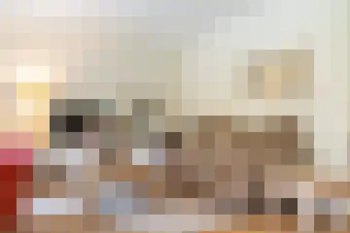 Sonnevancklaan 13 Harderwijk thumbnail 8