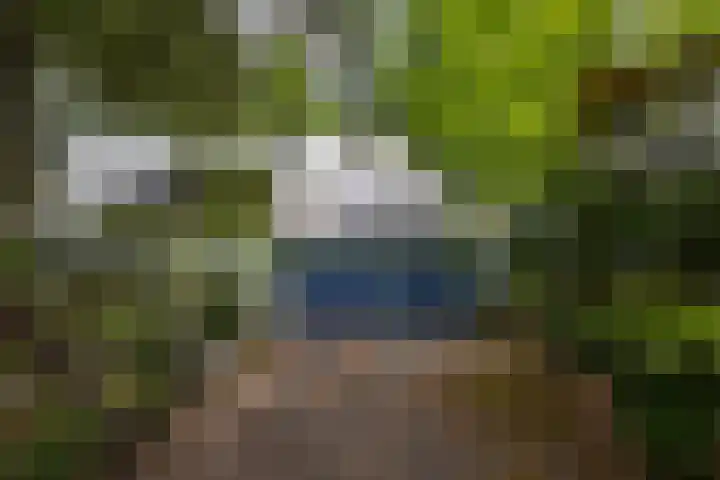 Sonnevancklaan 23 Harderwijk thumbnail 10