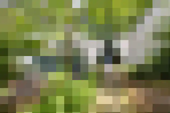 Sonnevancklaan 23 Harderwijk thumbnail 11