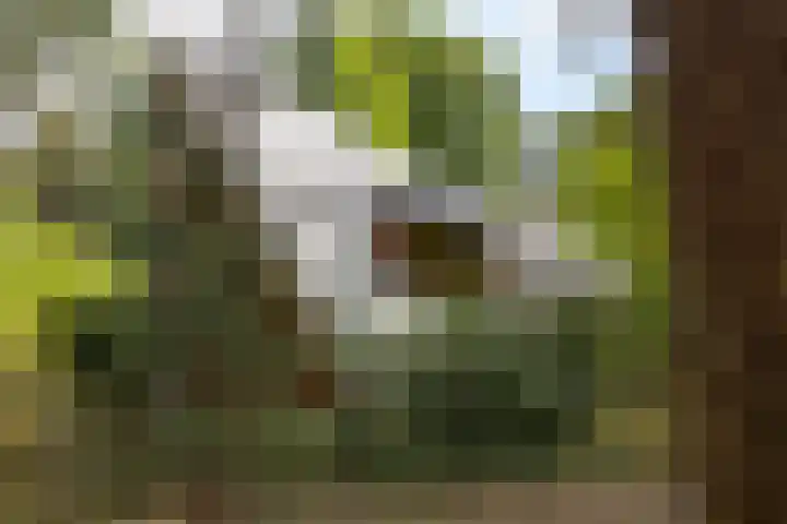 Sonnevancklaan 23 Harderwijk thumbnail 12