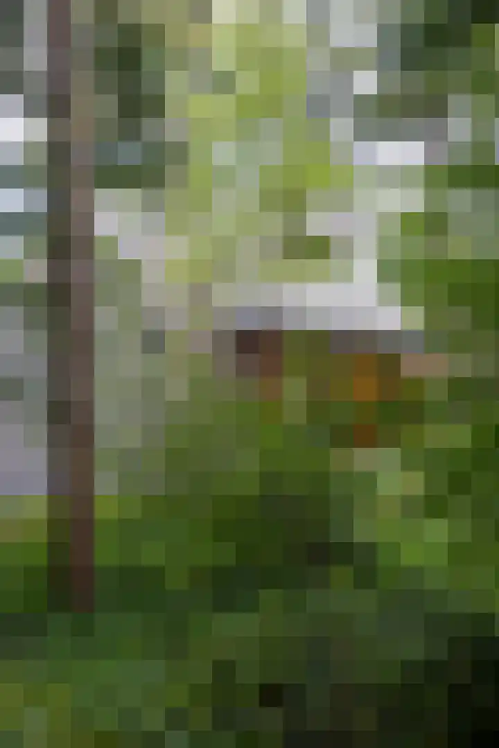 Sonnevancklaan 23 Harderwijk thumbnail 13