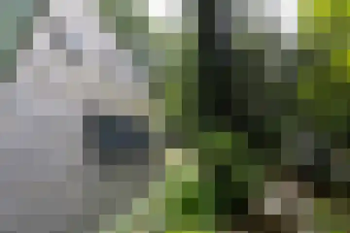 Sonnevancklaan 23 Harderwijk thumbnail 14