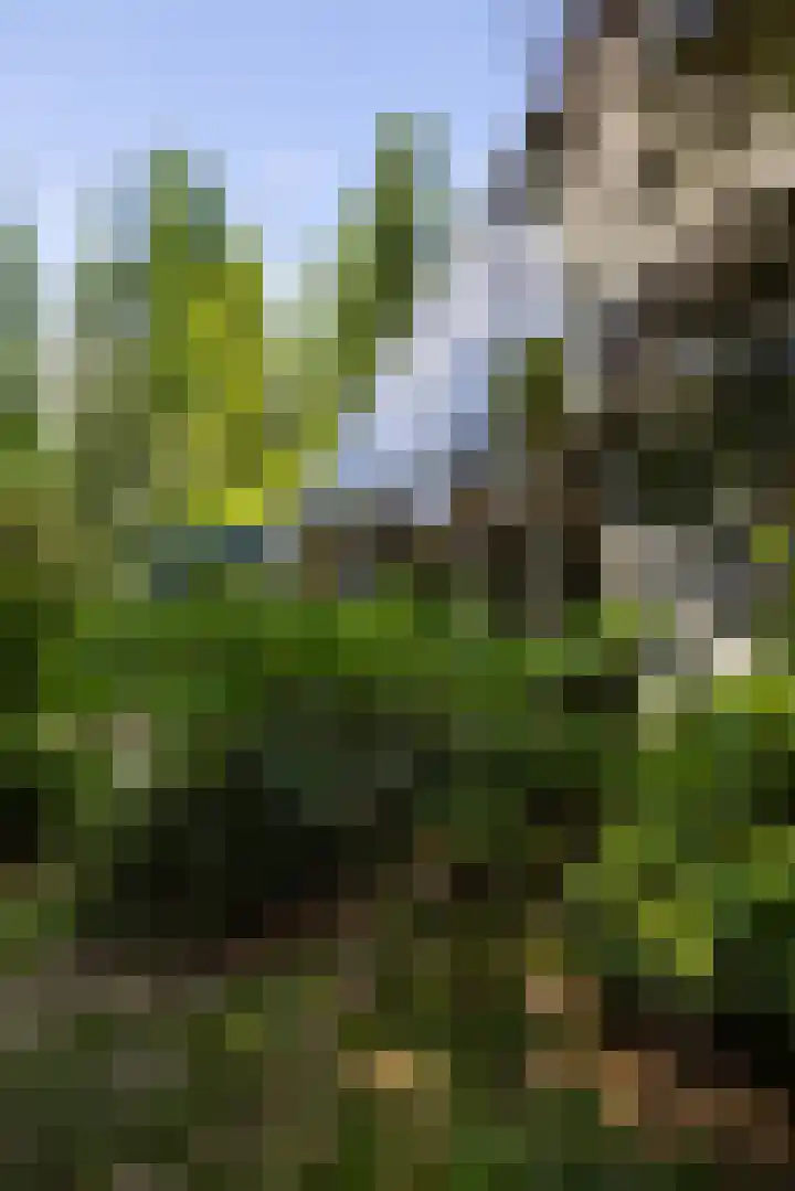 Sonnevancklaan 23 Harderwijk thumbnail 16