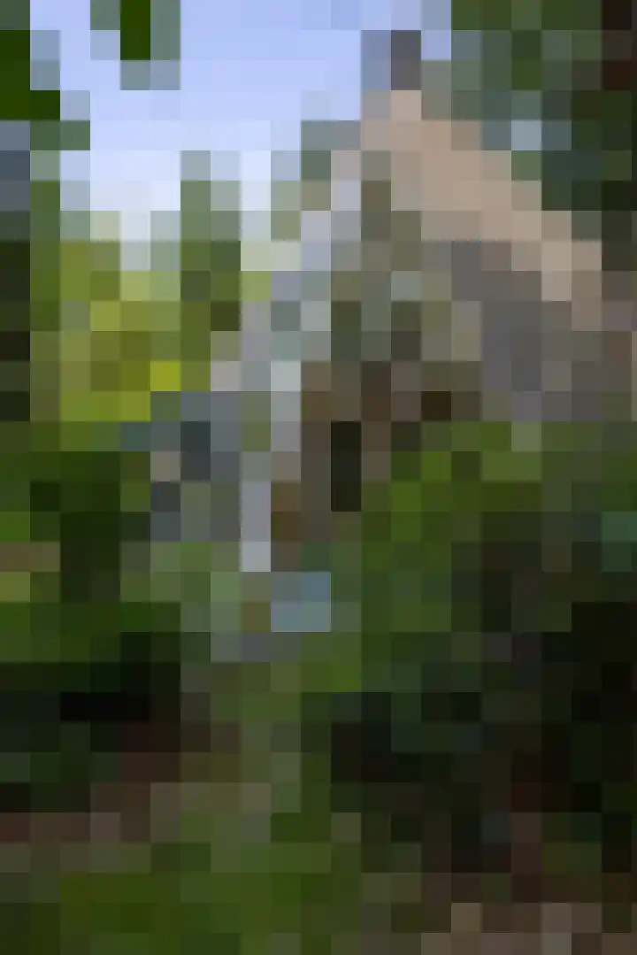 Sonnevancklaan 23 Harderwijk thumbnail 17