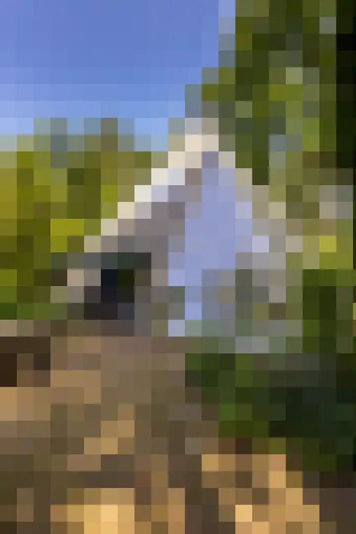 Sonnevancklaan 23 Harderwijk thumbnail 18