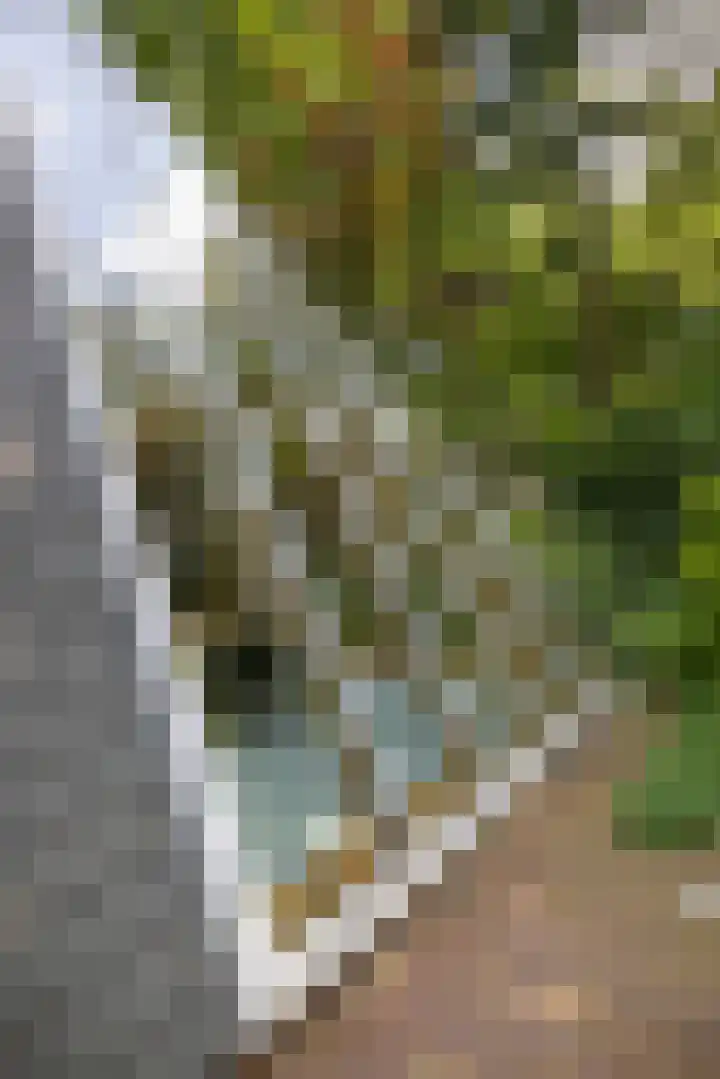 Sonnevancklaan 23 Harderwijk thumbnail 19