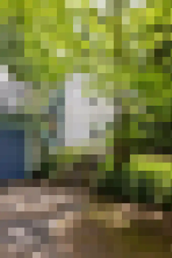 Sonnevancklaan 23 Harderwijk thumbnail 20