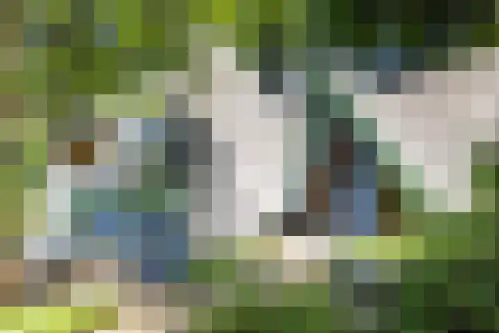 Sonnevancklaan 23 Harderwijk thumbnail 21