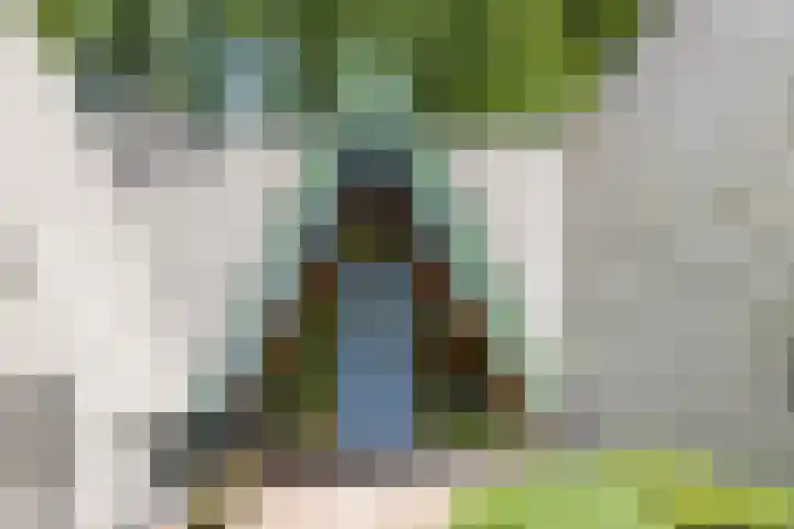 Sonnevancklaan 23 Harderwijk thumbnail 22