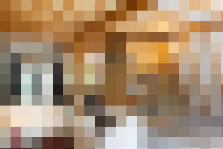 Sonnevancklaan 23 Harderwijk thumbnail 33
