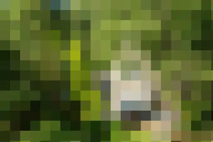 Sonnevancklaan 23 Harderwijk thumbnail 4