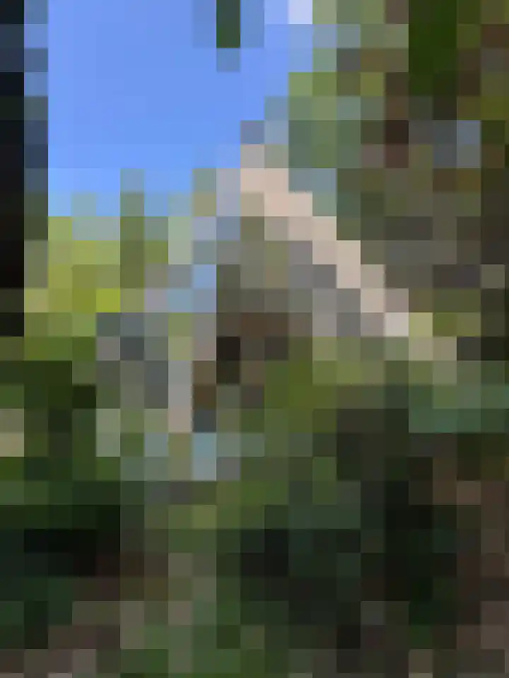 Sonnevancklaan 23 Harderwijk thumbnail 5