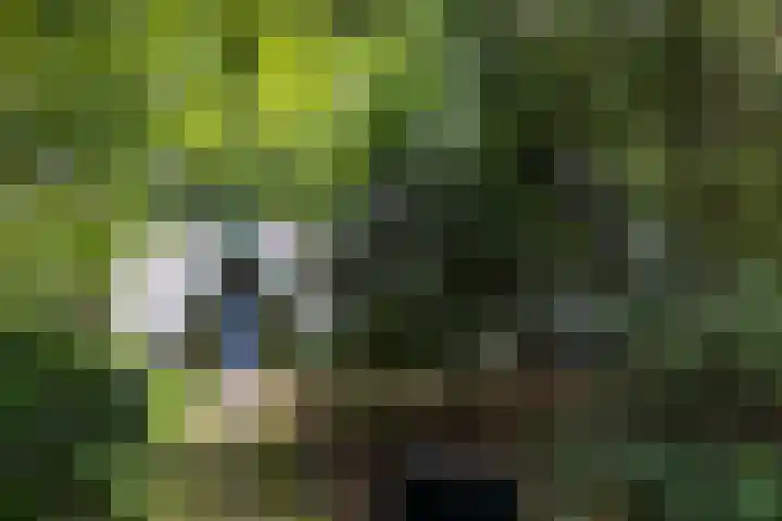 Sonnevancklaan 23 Harderwijk thumbnail 6