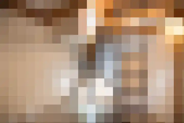 Sonnevancklaan 23 Harderwijk thumbnail 69