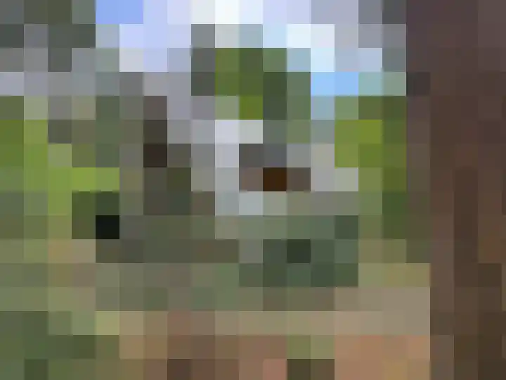 Sonnevancklaan 23 Harderwijk thumbnail 7