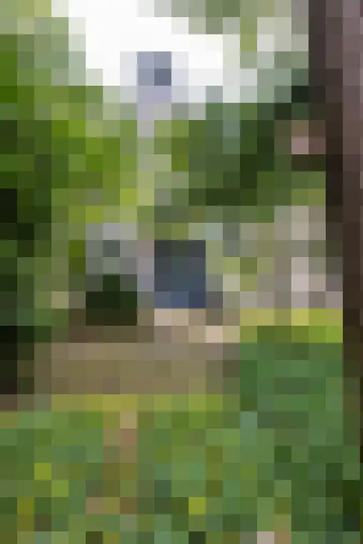 Sonnevancklaan 23 Harderwijk thumbnail 72