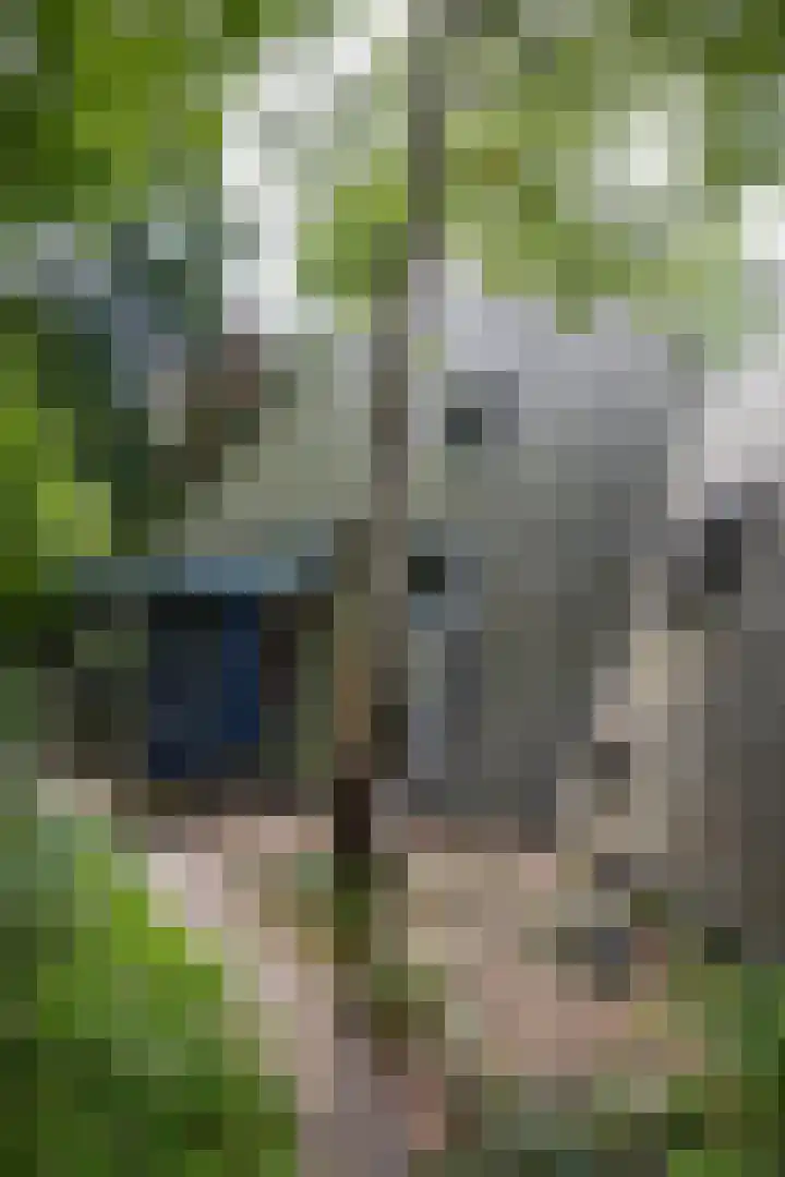 Sonnevancklaan 23 Harderwijk thumbnail 73