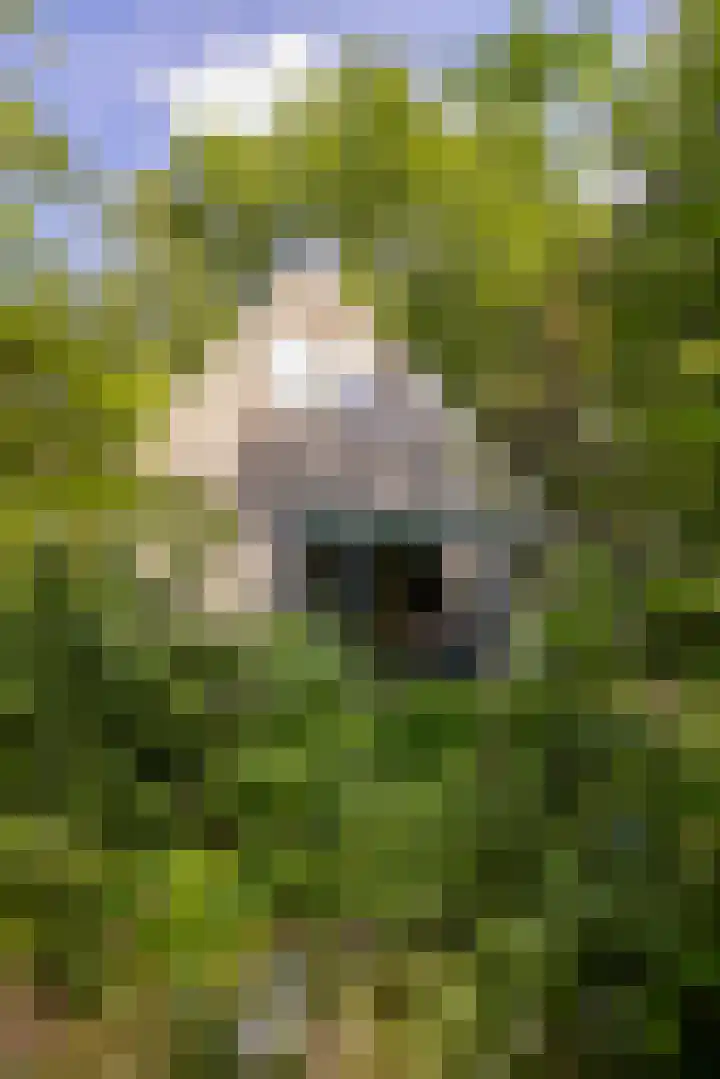 Sonnevancklaan 23 Harderwijk thumbnail 74