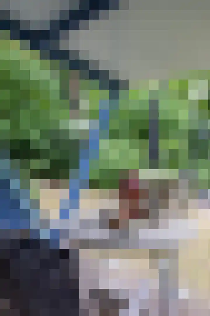 Sonnevancklaan 23 Harderwijk thumbnail 76