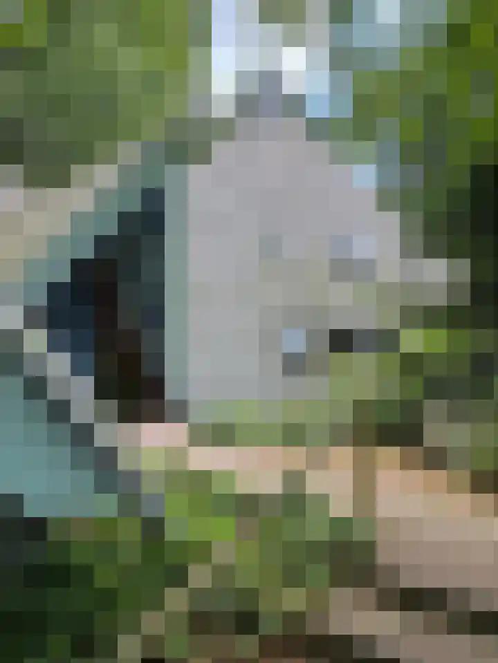Sonnevancklaan 23 Harderwijk thumbnail 77