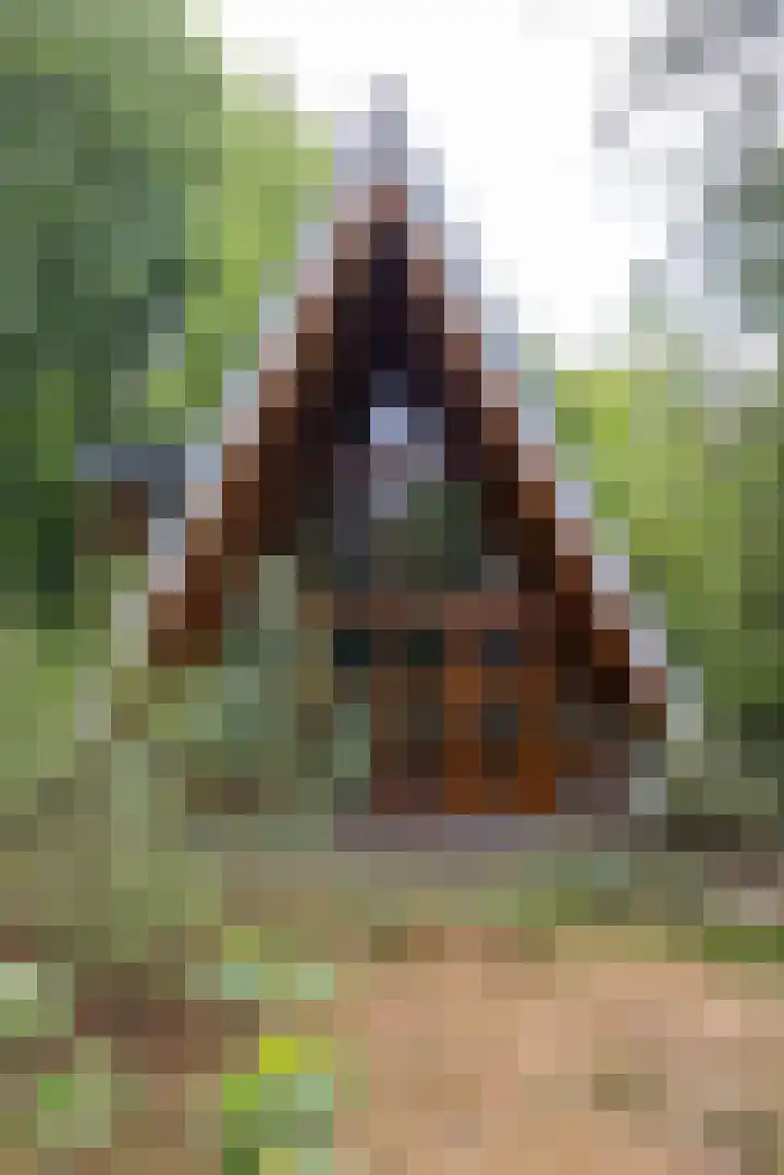 Sonnevancklaan 23 Harderwijk thumbnail 78
