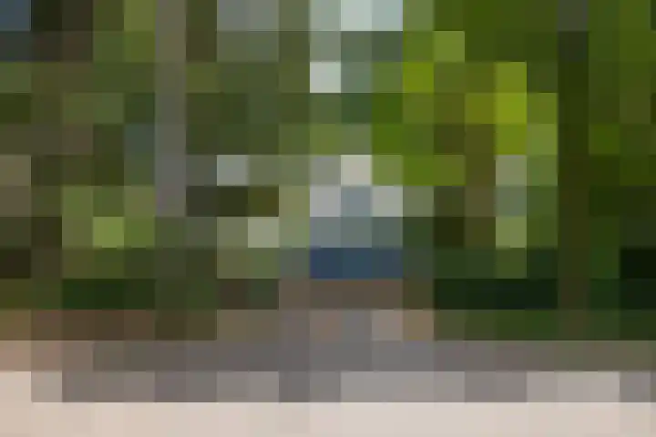 Sonnevancklaan 23 Harderwijk thumbnail 8