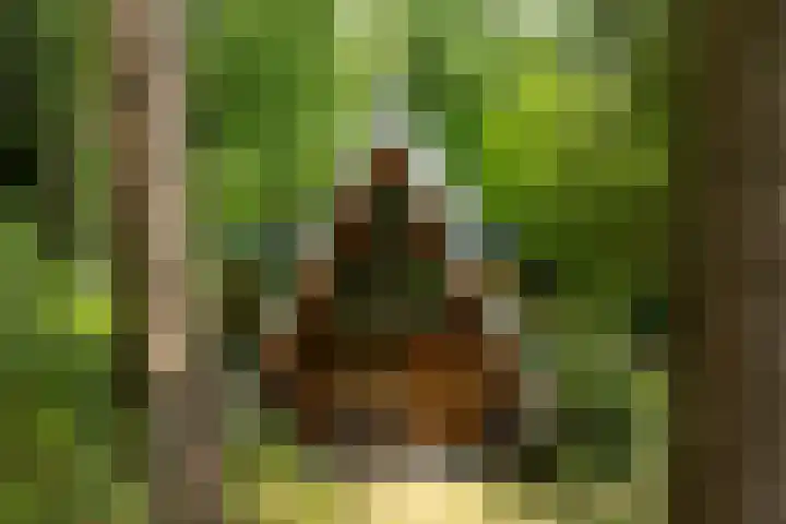 Sonnevancklaan 23 Harderwijk thumbnail 81
