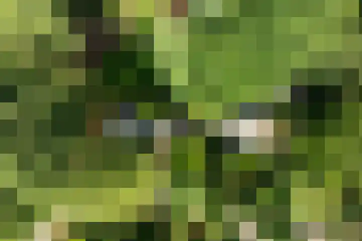 Sonnevancklaan 23 Harderwijk thumbnail 84