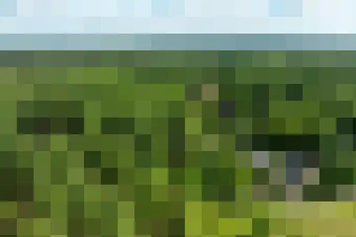 Sonnevancklaan 23 Harderwijk thumbnail 86