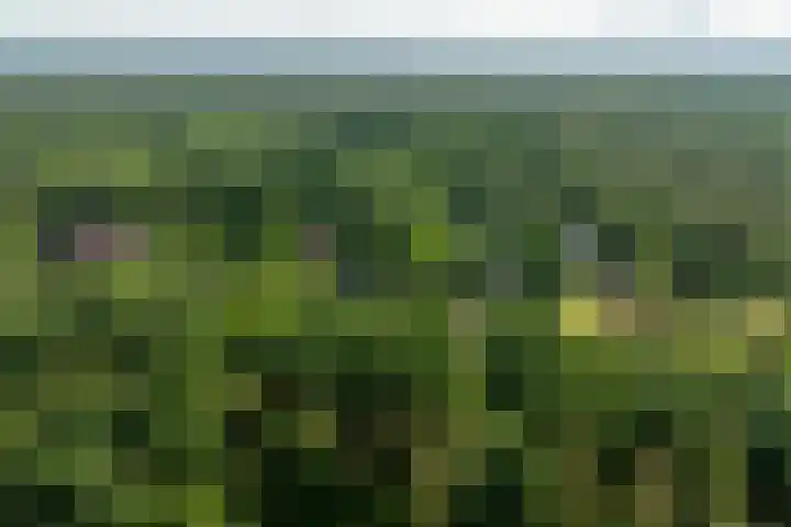 Sonnevancklaan 23 Harderwijk thumbnail 87