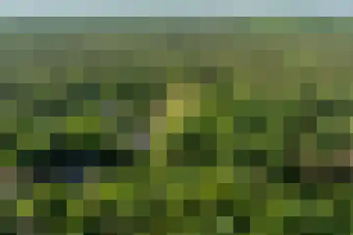 Sonnevancklaan 23 Harderwijk thumbnail 88