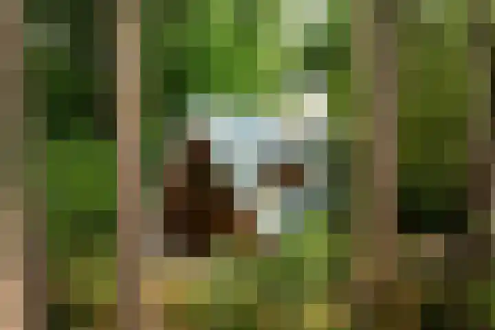 Sonnevancklaan 23 Harderwijk thumbnail 89