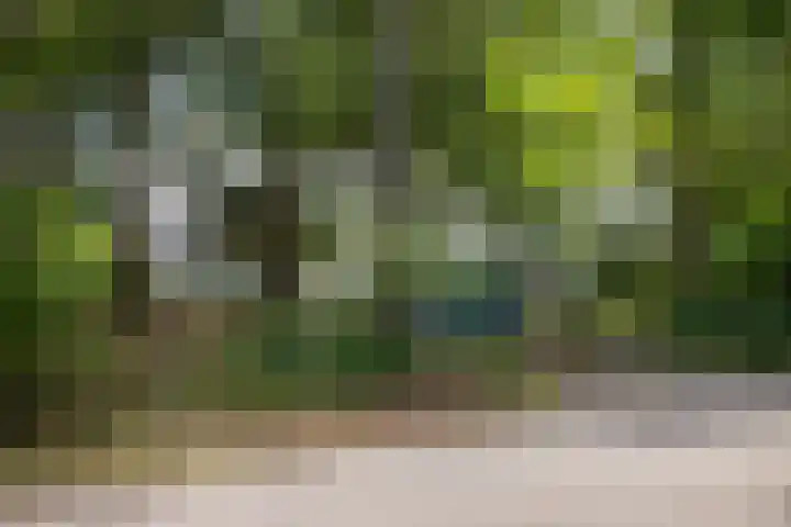 Sonnevancklaan 23 Harderwijk thumbnail 9