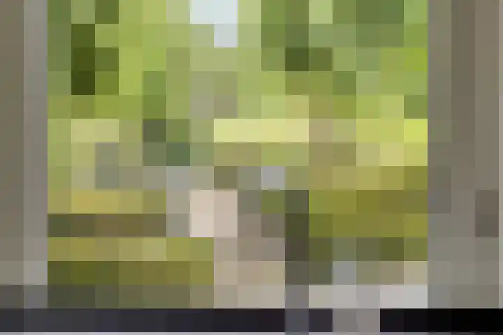 Sonnevancklaan 24 Harderwijk thumbnail 27