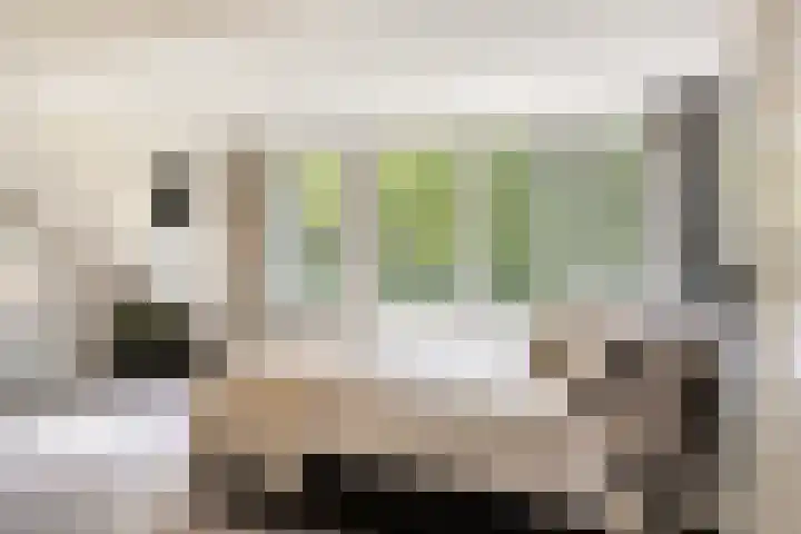 Sonnevancklaan 24 Harderwijk thumbnail 29