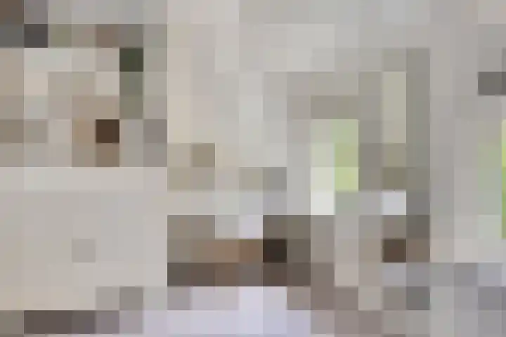 Sonnevancklaan 24 Harderwijk thumbnail 31