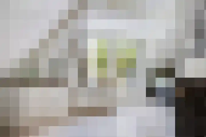 Sonnevancklaan 24 Harderwijk thumbnail 37