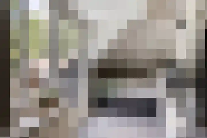 Sonnevancklaan 24 Harderwijk thumbnail 38