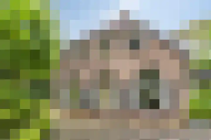 Sonnevancklaan 24 Harderwijk thumbnail 4