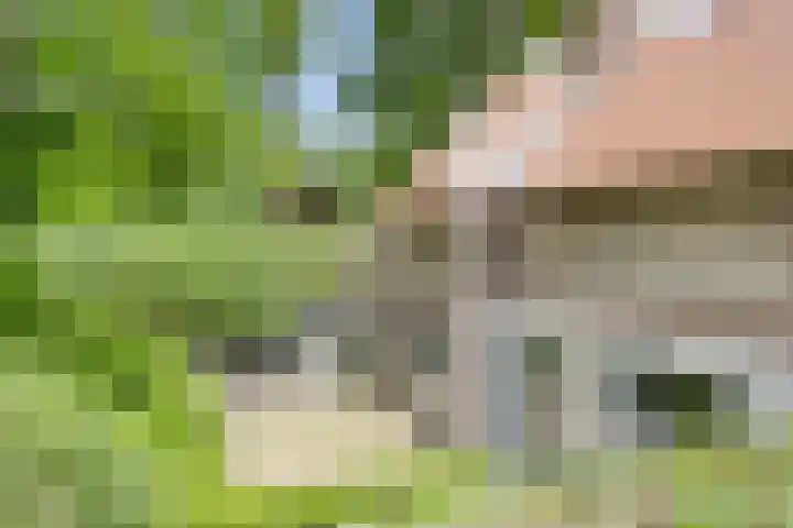 Sonnevancklaan 24 Harderwijk thumbnail 46